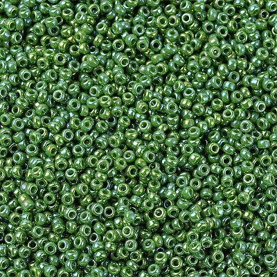 MIYUKI Round Rocailles Beads SEED-G007-RR0480-1