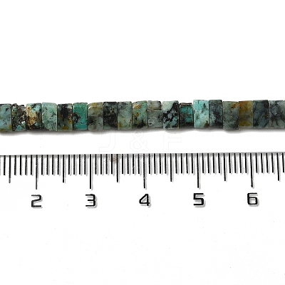 Natural African Turquoise (Jasper) Beads Strands G-Z045-A10-01-1