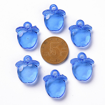 Transparent Acrylic Pendants TACR-S154-28B-86-1