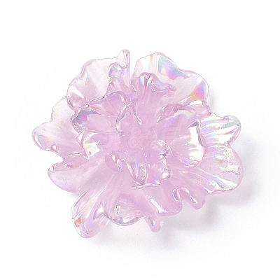 Resin Cabochon LS-RESI-E033-01-1