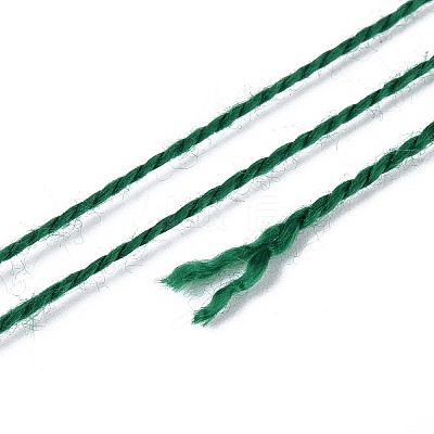 Braided Polyester Cord OCOR-T017-04A-06-1