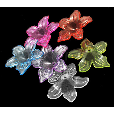 Transparent Acrylic Beads X-PL674Y-1