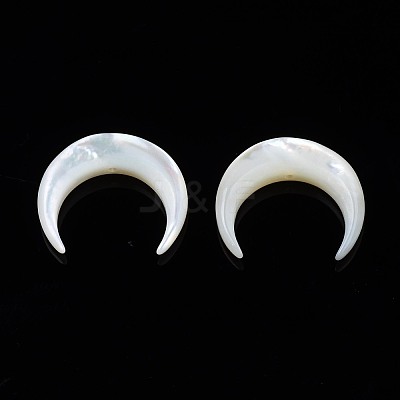 Natural White Shell Mother of Pearl Shell Beads SSHEL-T012-07-1