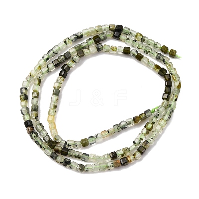 Natural Prehnite Beads Strand G-RM241221-K3-1