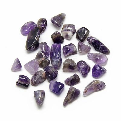 Natural Amethyst Gemstone Beads G-S218-12-1