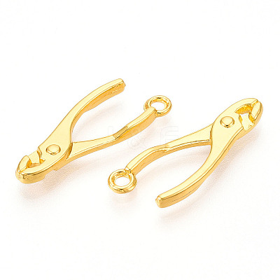 Alloy Pendants X1-PALLOY-N176-120G-1