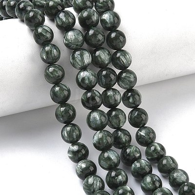 Natural Seraphinite Beads Strands G-C270-O01-07-1