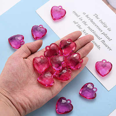 Transparent Acrylic Pendants X-TACR-T024-03B-906-1