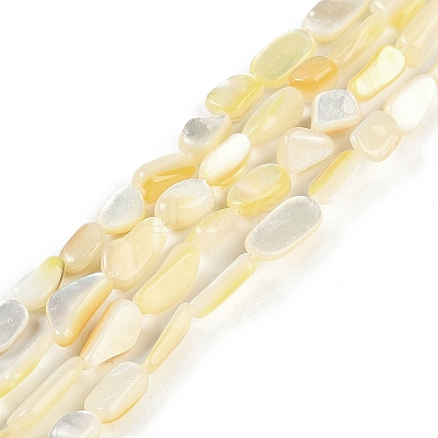 Natural Trochus Shell Beads Strands BSHE-H109-05-1