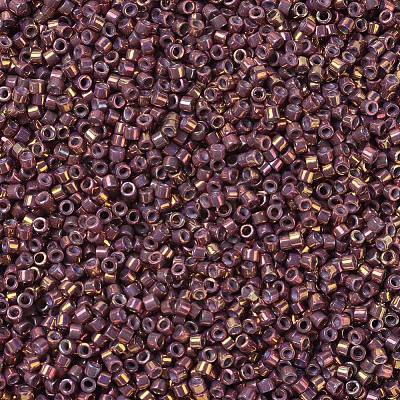 MIYUKI Delica Beads Small SEED-X0054-DBS1013-1
