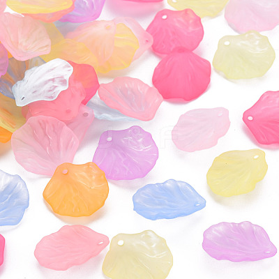 Transparent Frosted Acrylic Pendants MACR-S371-01A-1