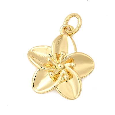 Brass Pendants KK-A266-14G-1