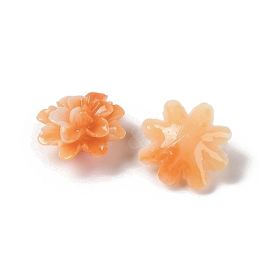 Synthetic Shell Dyed Beads SHEL-C006-01-1