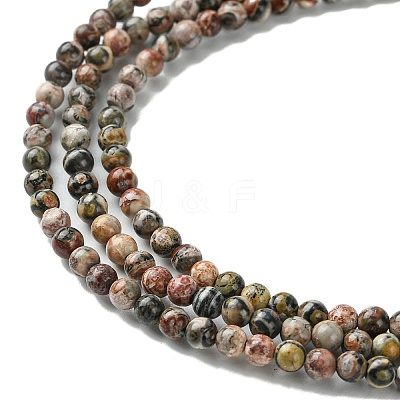 Natural Leopard Skin Jasper Beads Strands G-K365-C01-01-1