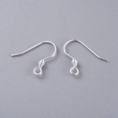 304 Stainless Steel Earring Hooks STAS-K210-26S-1