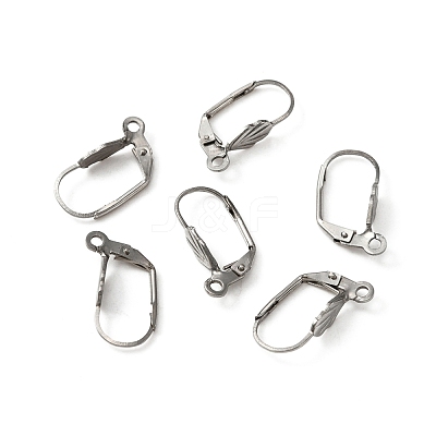 316 Surgical Stainless Steel Leverback Earring Findings STAS-WH0022-69-1