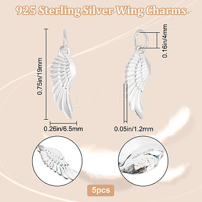 5Pcs 925 Sterling Silver Pendants FIND-BBC0001-52-1