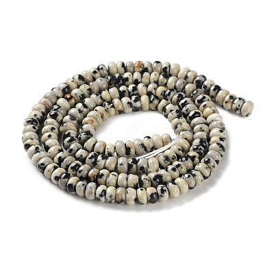 Natural Dalmatian Jasper Beads Strands G-K343-C36-01-1
