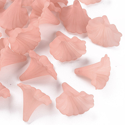Transparent Acrylic Beads BSF796-C11-1