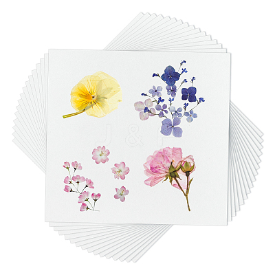 Dried Embossed Paper DIY-WH0622-646C-1