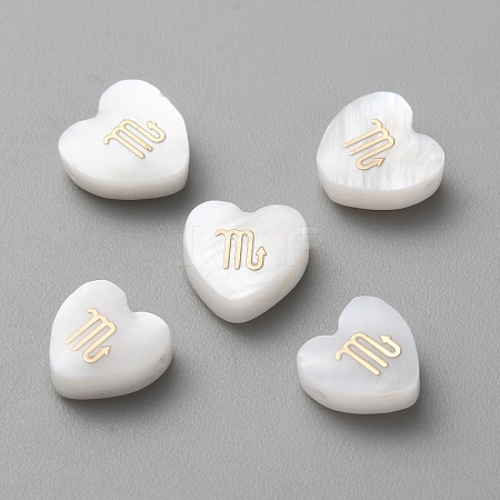 5Pcs Natural White Shell Beads BSHE-TAC0004-02J-1