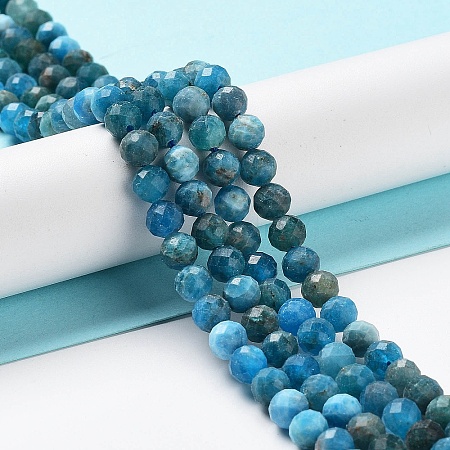 Natural Apatite Beads Strands G-J400-E01-04-1