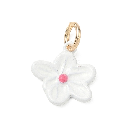 Spray Painted Brass Charms KK-CBAEB58-10B-1