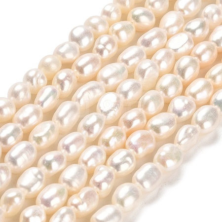 Natural Cultured Freshwater Pearl Beads Strands PEAR-E016-063-1