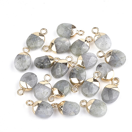 Electroplate Natural Labradorite Charms G-S344-09D-1