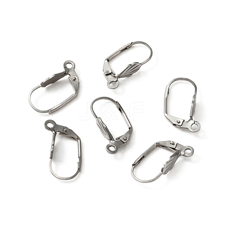 316 Surgical Stainless Steel Leverback Earring Findings STAS-WH0022-69-1