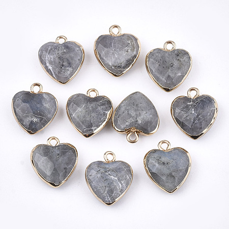 Electroplate Natural Labradorite Pendants G-T112-03A-1