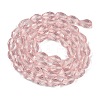 Transparent Glass Beads Strands EGLA-N013-T10mm-D18-2