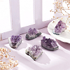 Amethyst Crystal Cluster Ornaments Home Display Decorations DJEW-WH0063-17-2