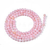 Natural Freshwater Shell Beads Strands BSHE-T009A-01C-2