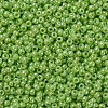 MIYUKI Round Rocailles Beads SEED-X0054-RR0479-3
