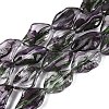 Handmade Lampwork Beads Strands LA-N046-02B-1