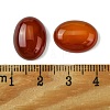 Natural Red Agate Cabochons G-L601-03B-01-3