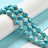Dyed Natural Howlite Beads Strands G-G023-B01-02C-2
