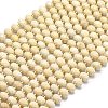 Natural Fossil Beads Strands G-P573-A42-01-2
