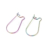 Ion Plating(IP) Rainbow Color 316 Surgical Stainless Steel Hook Earrings STAS-E009-5M-3