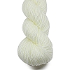 Acrylic Fiber Yarn PW-WG52221-06-1