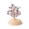 Natural Fluorite Chips Money Tree in Dome Glass Bell Jars with Wood Base Display Decorations DJEW-B007-04D-3