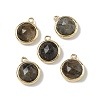 Natural Labradorite Faceted Flat Round Charms G-U028-03G-06-1