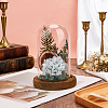 Arch Glass Dome Cover AJEW-WH0596-866A-01-4