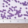 MIYUKI Round Rocailles Beads X-SEED-G007-RR1345-4