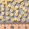 (Repacking Service Available) Glass Seed Beads SEED-C020-4mm-142-3