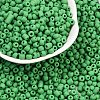 Frosted Opaque 6/0 Glass Seed Beads SEED-R029-4mm-A10-2