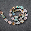 Natural Abalone Shell/Paua Shell Beads SSHEL-BC0001-08-4