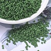 MIYUKI Round Rocailles Beads SEED-X0054-RR0411F-1