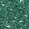 11/0 Grade A Baking Paint Glass Seed Beads X-SEED-S030-1039-2